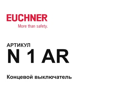 N1AR Euchner