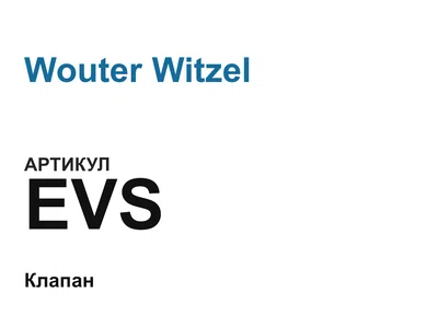 EVS Wouter Witzel