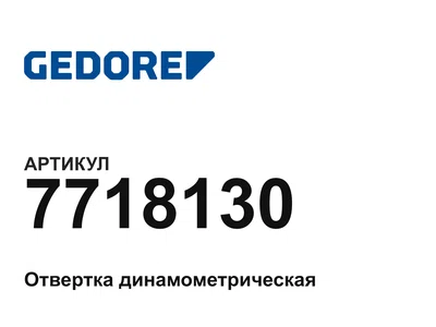 7718130 GEDORE