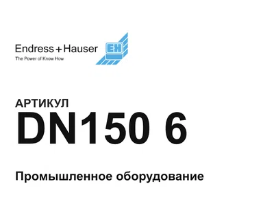 DN1506 Endress+Hauser