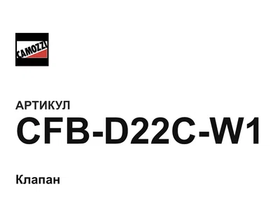 CFBD22CW1 Camozzi
