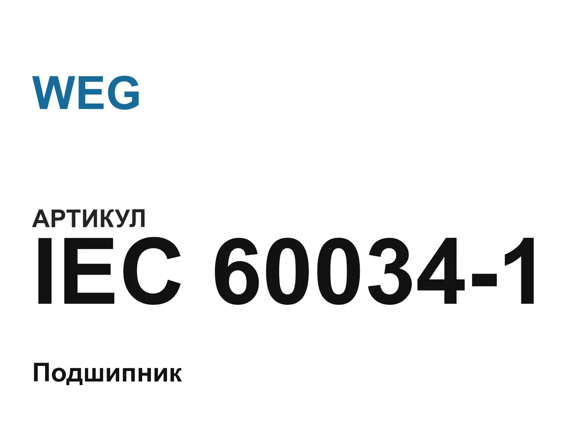 IEC600341 WEG