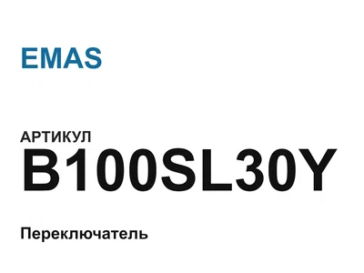 B100SL30Y EMAS