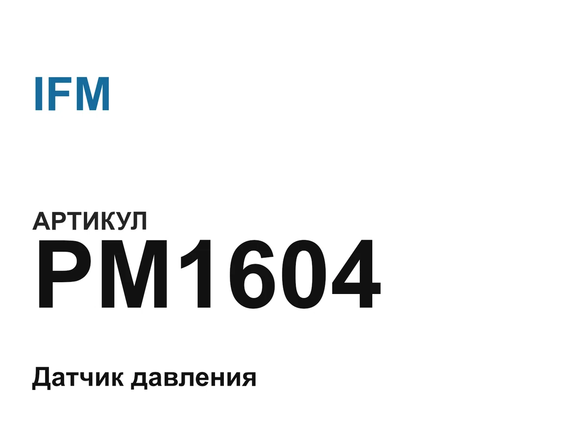 PM1604 IFM