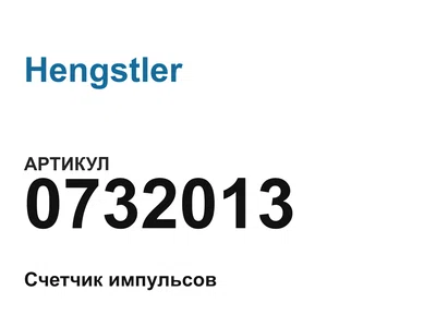 0732013 Hengstler