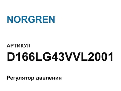 D166LG43VVL2001 NORGREN