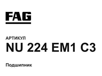 NU224EM1C3 FAG
