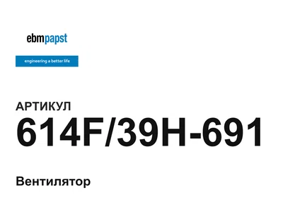 614F39H691 ebm-papst