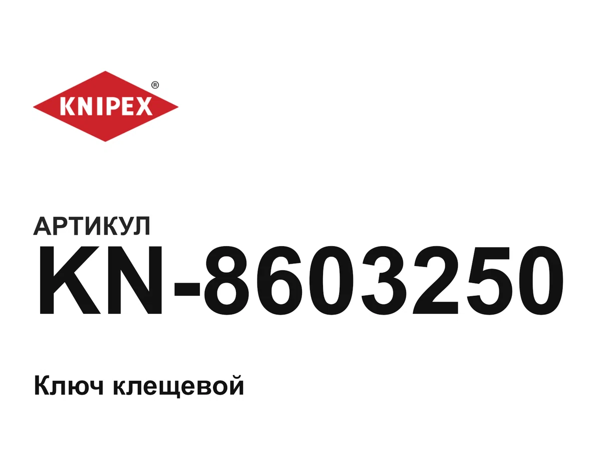 KN8603250 KNIPEX