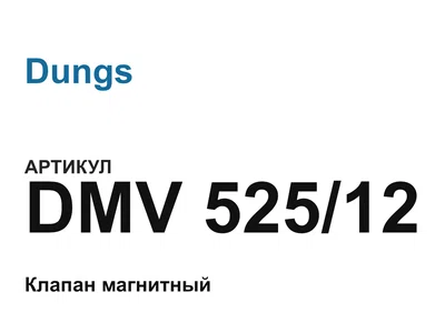 DMV52512 Dungs