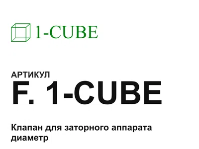 F1CUBE 1-CUBE