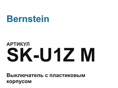 SKU1ZM Bernstein