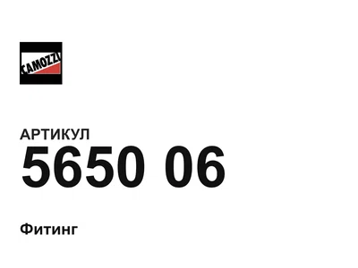565006 Camozzi