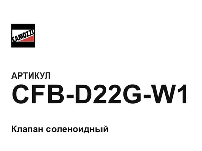 CFBD22GW1 Camozzi