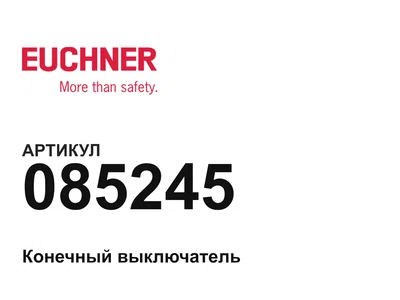 085245 Euchner