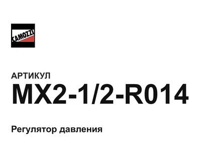 MX212R014 Camozzi