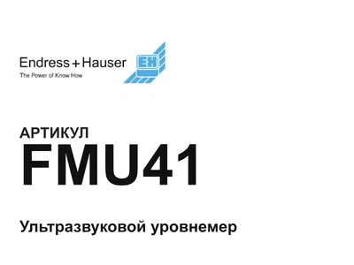 FMU41 Endress+Hauser