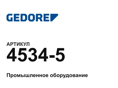 45345 GEDORE