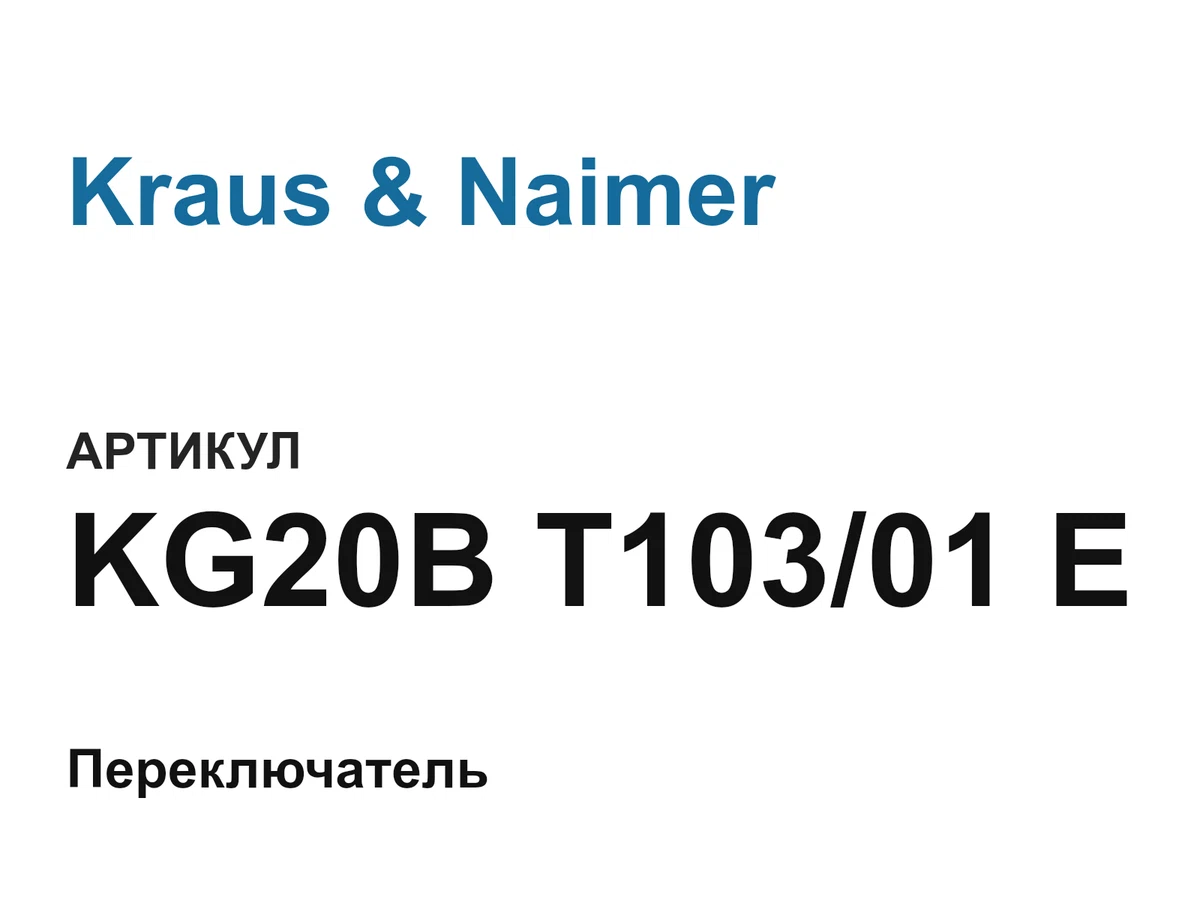 KG20BT10301E Kraus & Naimer