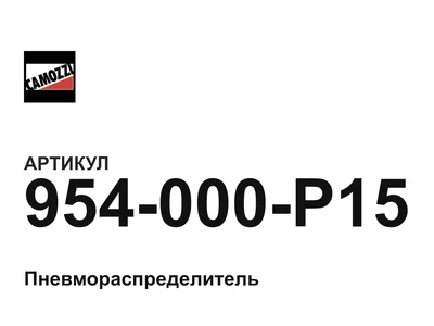 954000P15 Camozzi