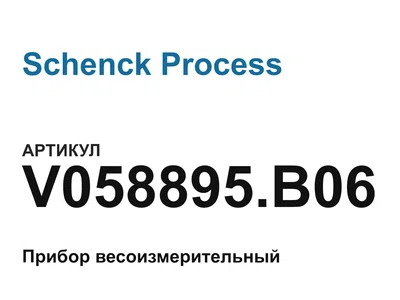 V058895B06 Schenck Process