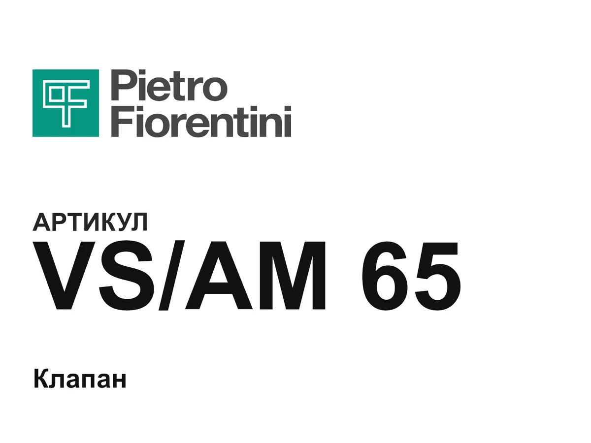 VSAM65 Pietro Fiorentini