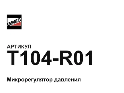 T104R01 Camozzi