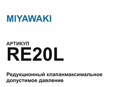 RE20L MIYAWAKI