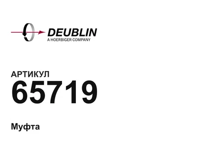 65719 Deublin
