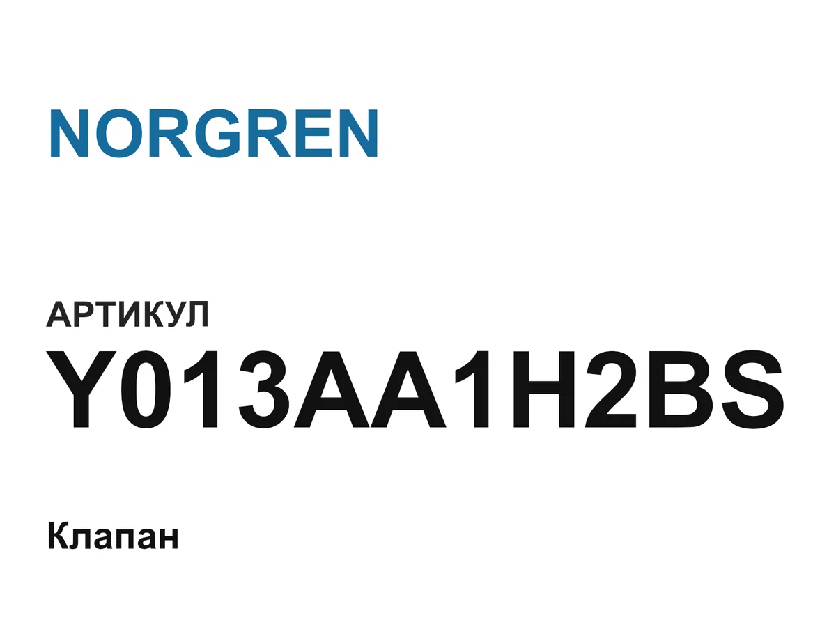Y013AA1H2BS NORGREN