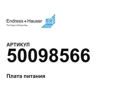 50098566 Endress+Hauser