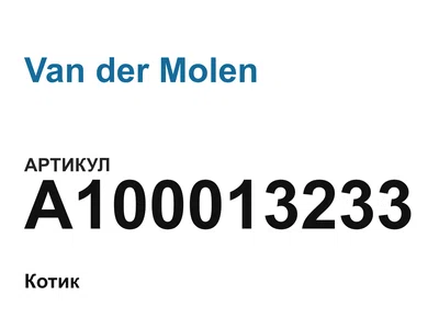 A100013233 Van der Molen