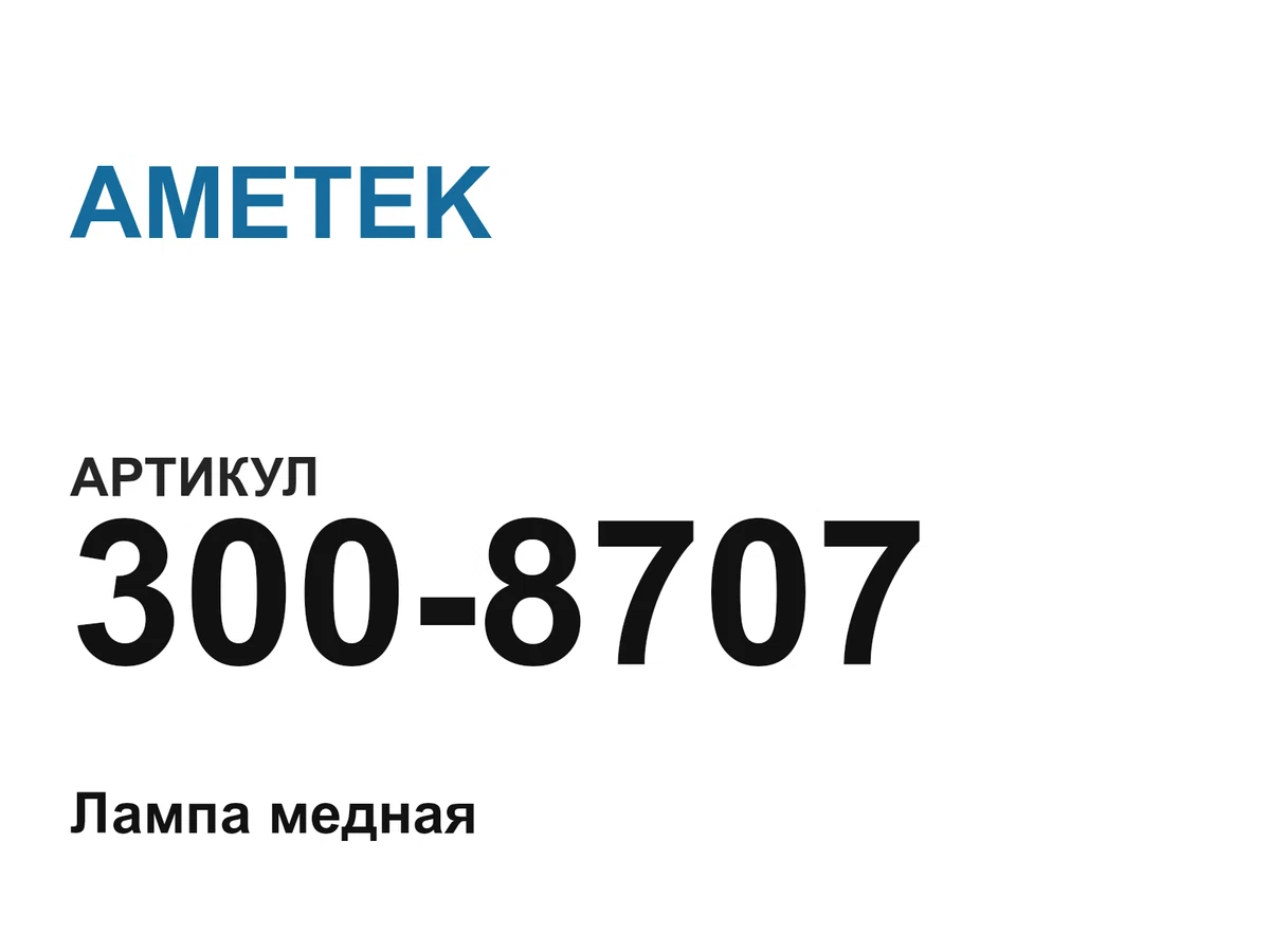 3008707 AMETEK