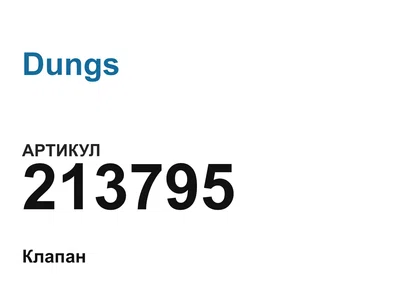 213795 Dungs