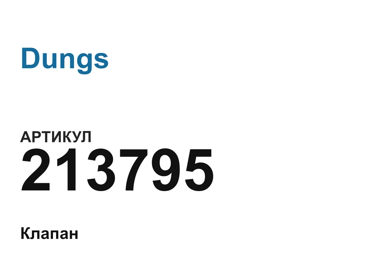 213795 Dungs
