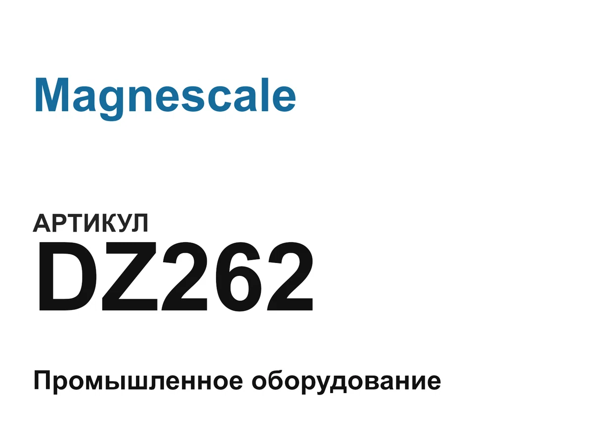 DZ262 Magnescale
