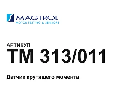 TM313011 Magtrol
