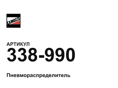 338990 Camozzi