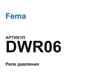 DWR06 Fema