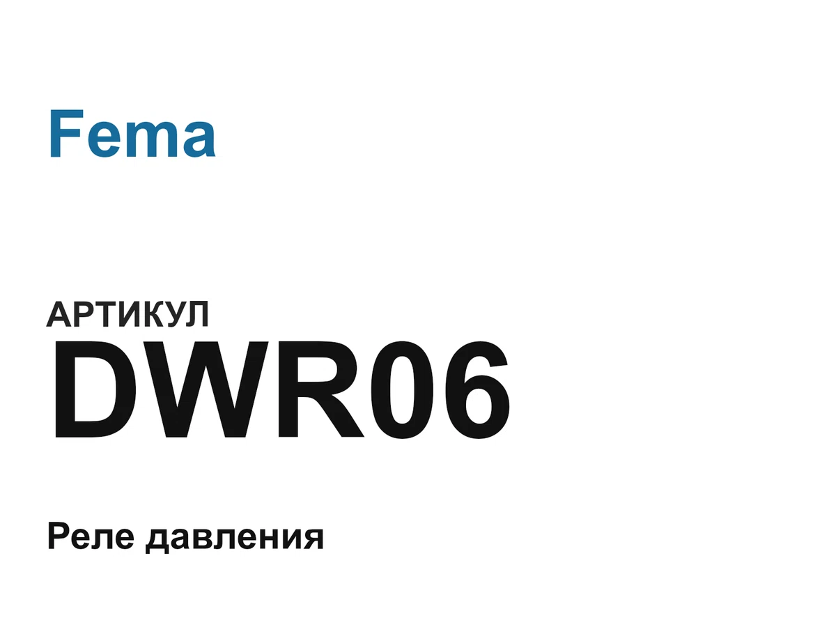 DWR06 Fema