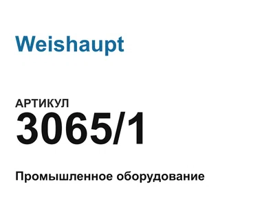 30651 Weishaupt