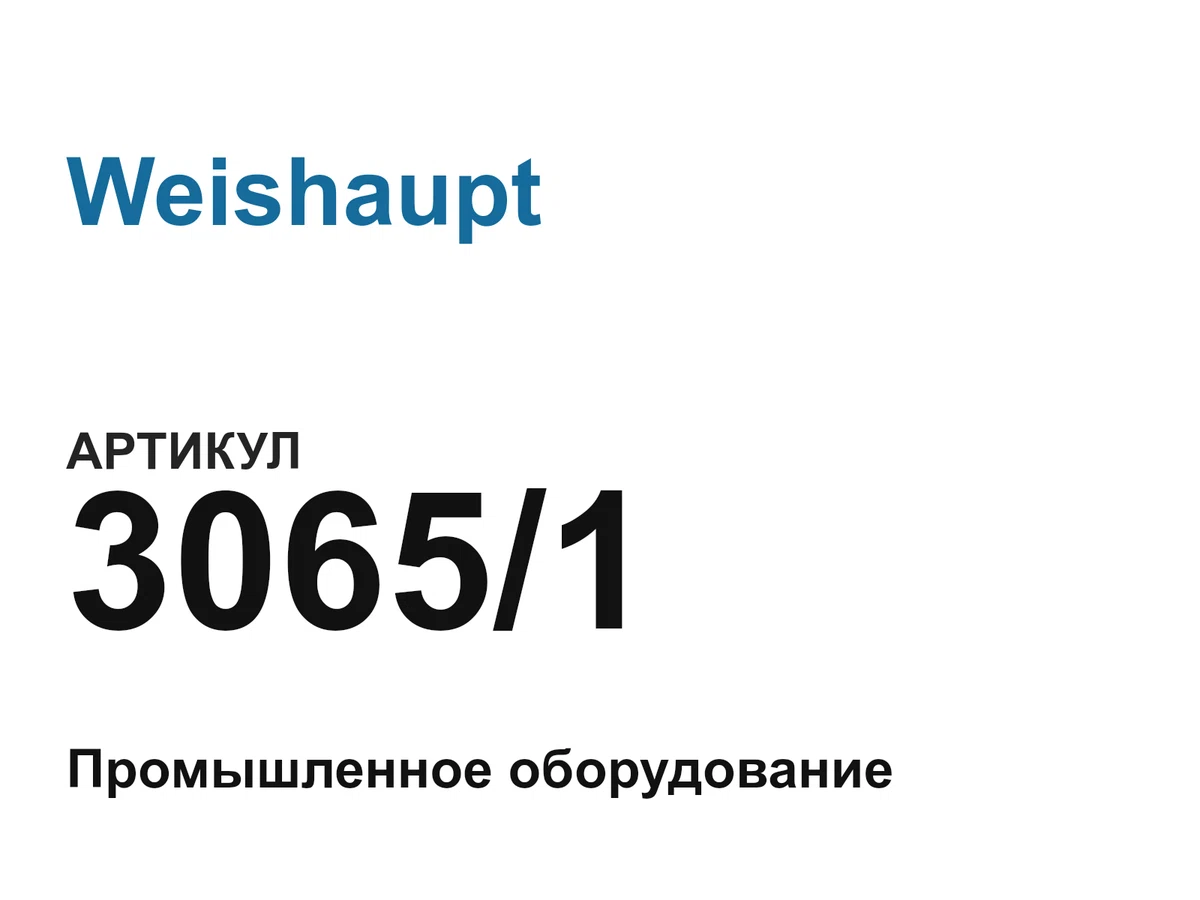 30651 Weishaupt