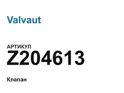 Z204613 Valvaut