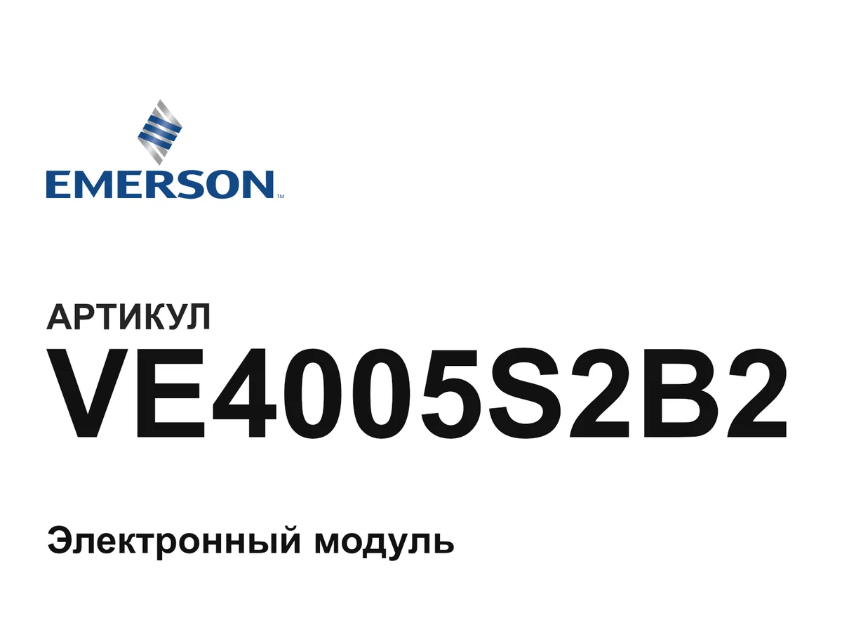 VE4005S2B2 Emerson