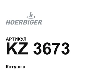KZ3673 HOERBIGER