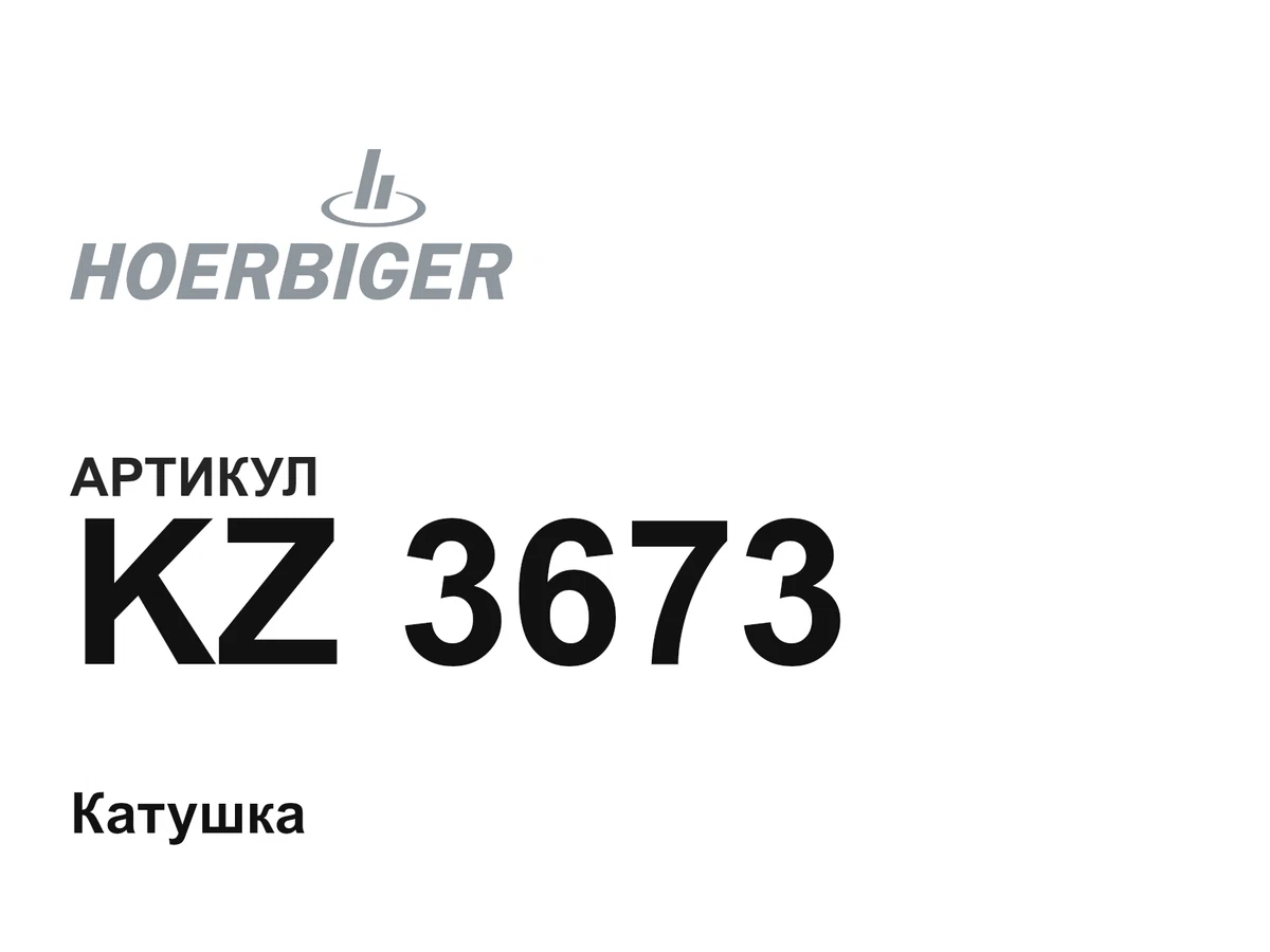 KZ3673 HOERBIGER