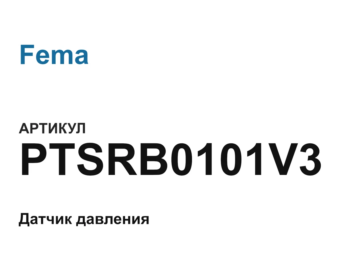 PTSRB0101V3 Fema