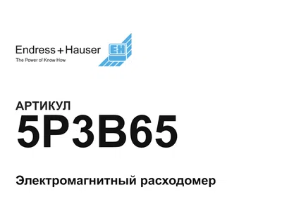 5P3B65 Endress+Hauser