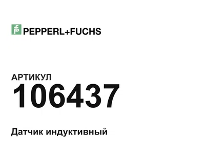 106437 Pepperl+Fuchs