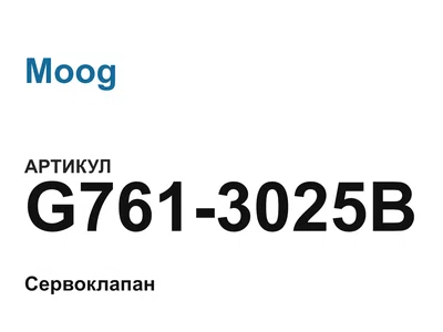 G7613025B Moog